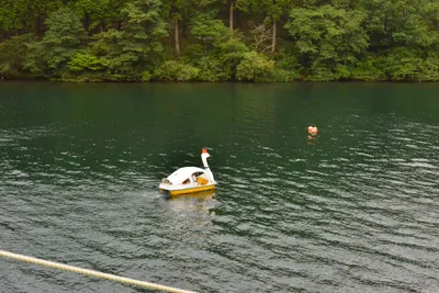 DSC_3768 (Large).JPG